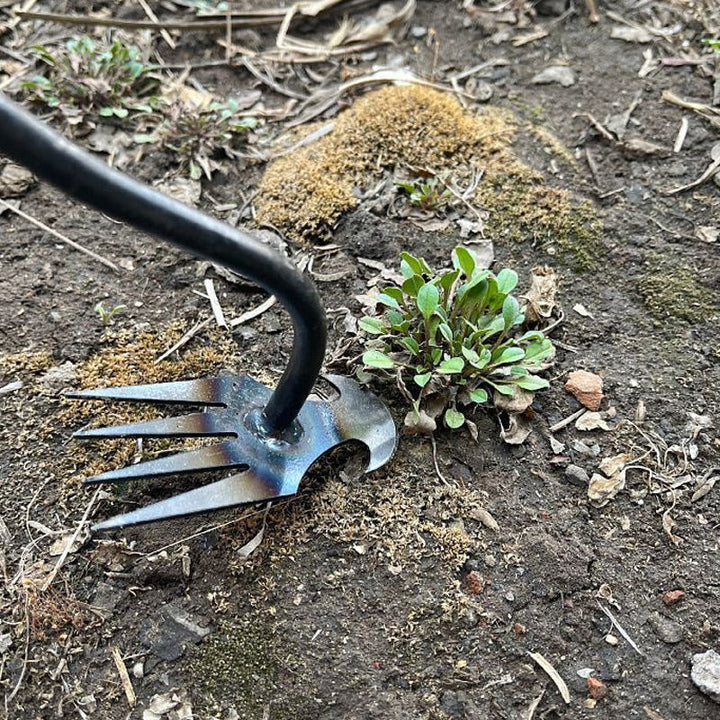 Lisslune | Gardening Hand Weeder Tool