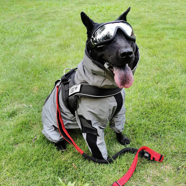 Lisslune | Reflective All-weather Waterproof Dog Rain Coat