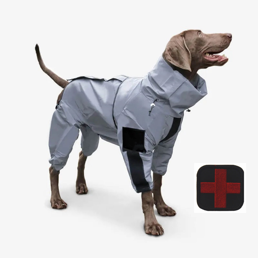 Lisslune | Reflective All-weather Waterproof Dog Rain Coat