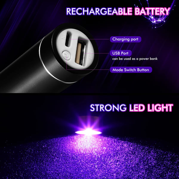 Lisslune | LED Rechargeable Light Whip