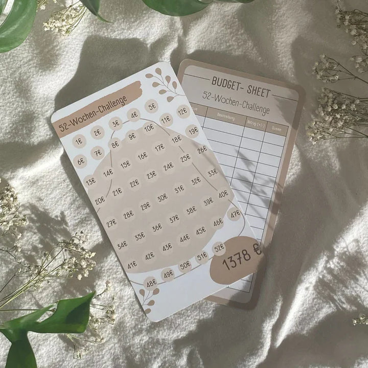 Lisslune | Coinsense | Budget planner