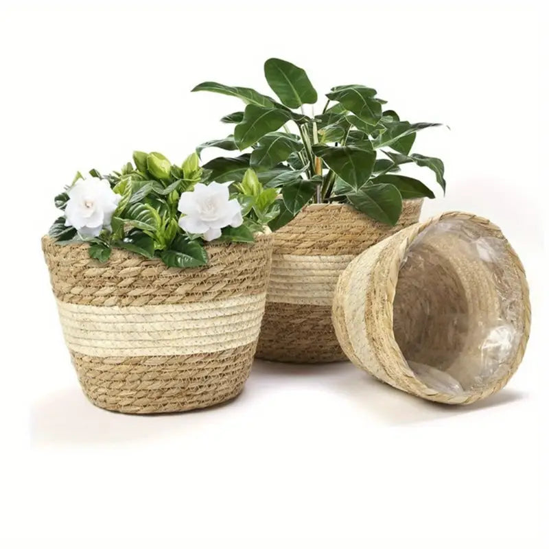 Lisslune | Decorative plant baskets made of seagrass in a set of 3 – Handwoven flower pots with foil insert