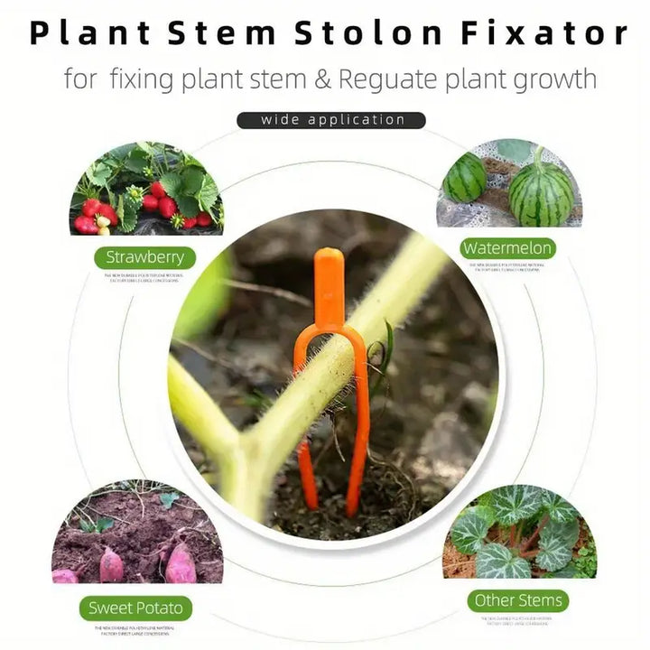 Lisslune | Garden plants support clamps made of plastic for optimal plant stability