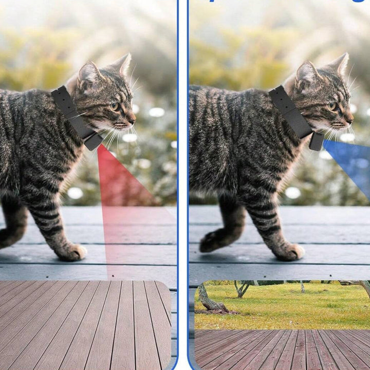 Lisslune | Portable 160° Pet Camera for Cats & Dogs with 1080P HD Video – 32GB