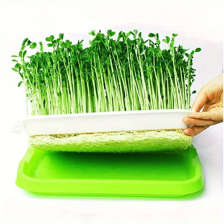 Lisslune | Germination trays with lid – Double-layer seed sowing tray for effective seed germination