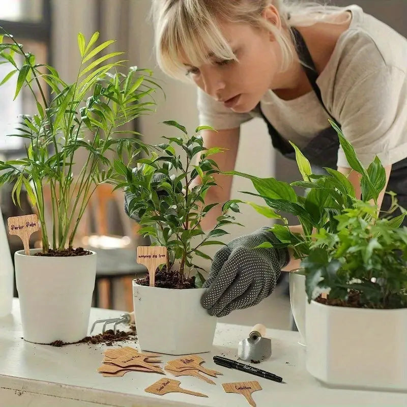 Lisslune | Plant labels made of wood for garden and balcony – Rewritable labels for herbs and plants