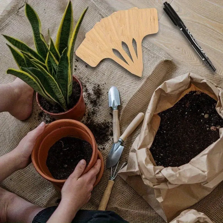 Lisslune | Plant labels made of wood for garden and balcony – Rewritable labels for herbs and plants