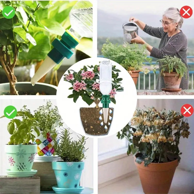 Lisslune | Self-watering spikes for plants – Automatic drip tips for bottles