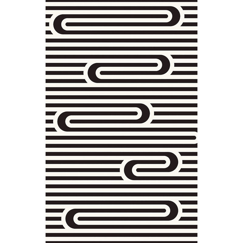 Lisslune | Modern Striped Pattern Carpet Black and White Polyester Carpet Washable Pet Friendly Non-Slip Area Rug for Living Room
