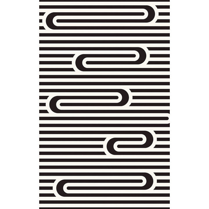 Lisslune | Modern Striped Pattern Carpet Black and White Polyester Carpet Washable Pet Friendly Non-Slip Area Rug for Living Room