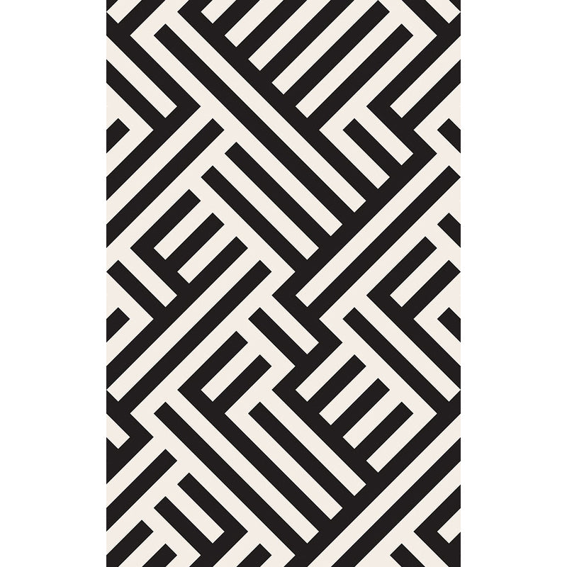Lisslune | Modern Striped Pattern Carpet Black and White Polyester Carpet Washable Pet Friendly Non-Slip Area Rug for Living Room
