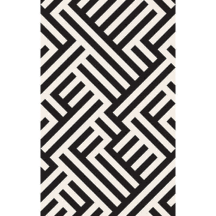 Lisslune | Modern Striped Pattern Carpet Black and White Polyester Carpet Washable Pet Friendly Non-Slip Area Rug for Living Room