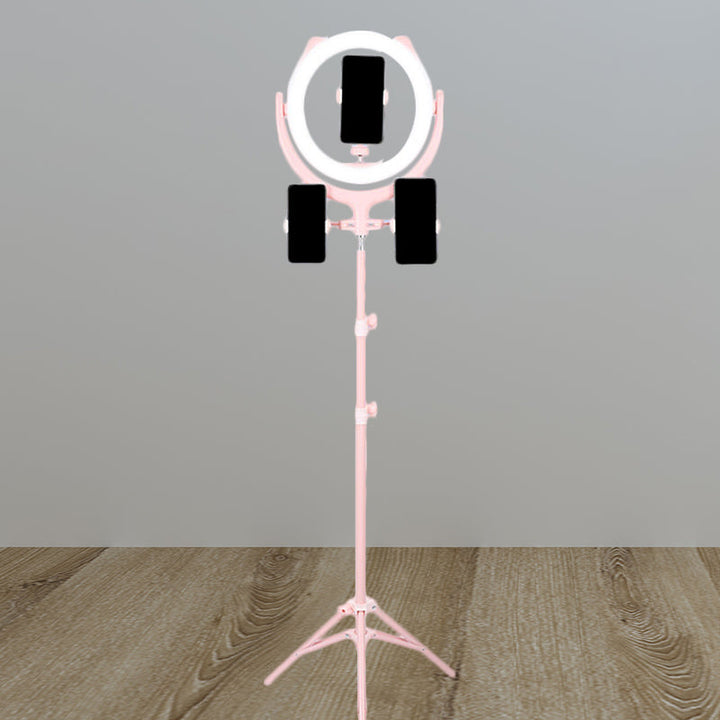Lisslune | Circular Mirror Lighting Modernity Metal Phone Holder USB LED Fill Light in Pink