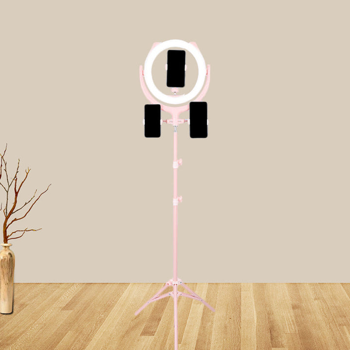 Lisslune | Circular Mirror Lighting Modernity Metal Phone Holder USB LED Fill Light in Pink
