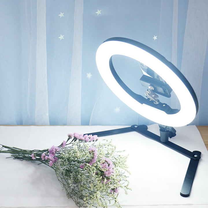 Lisslune | Modern LED Fill Flash Light Black Round USB Marker Light with Metallic Shade