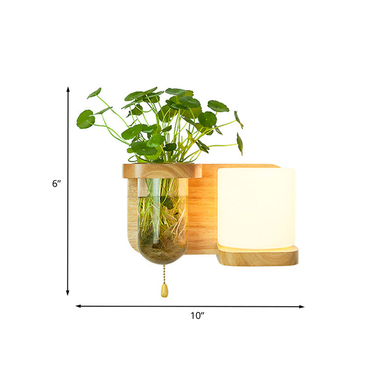 Lisslune | Wood Globe/Cylinder Wall Sconce Nordic Cream Glass 1 Light Bedroom Wall Lamp with Plant Pot and Pull Chain