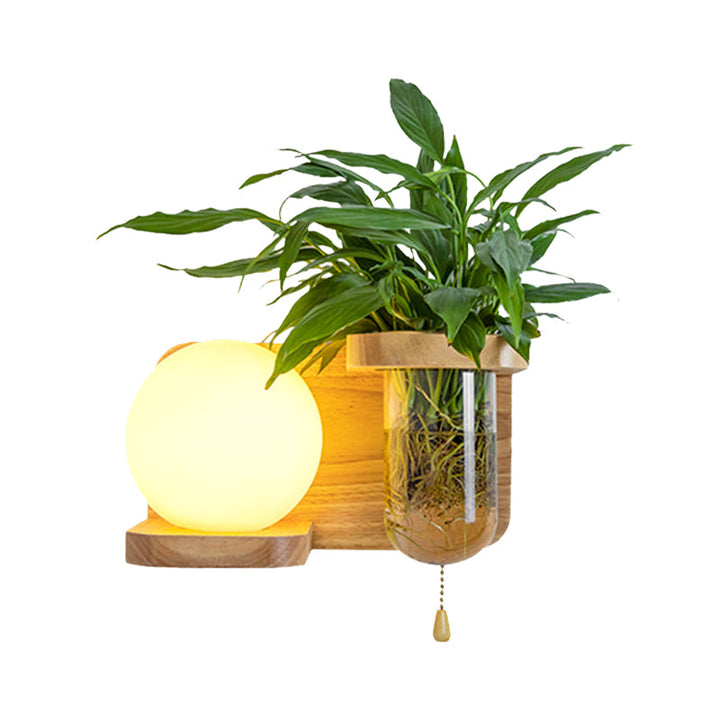 Lisslune | Wood Globe/Cylinder Wall Sconce Nordic Cream Glass 1 Light Bedroom Wall Lamp with Plant Pot and Pull Chain