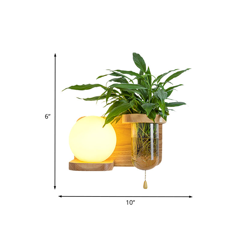 Lisslune | Wood Globe/Cylinder Wall Sconce Nordic Cream Glass 1 Light Bedroom Wall Lamp with Plant Pot and Pull Chain