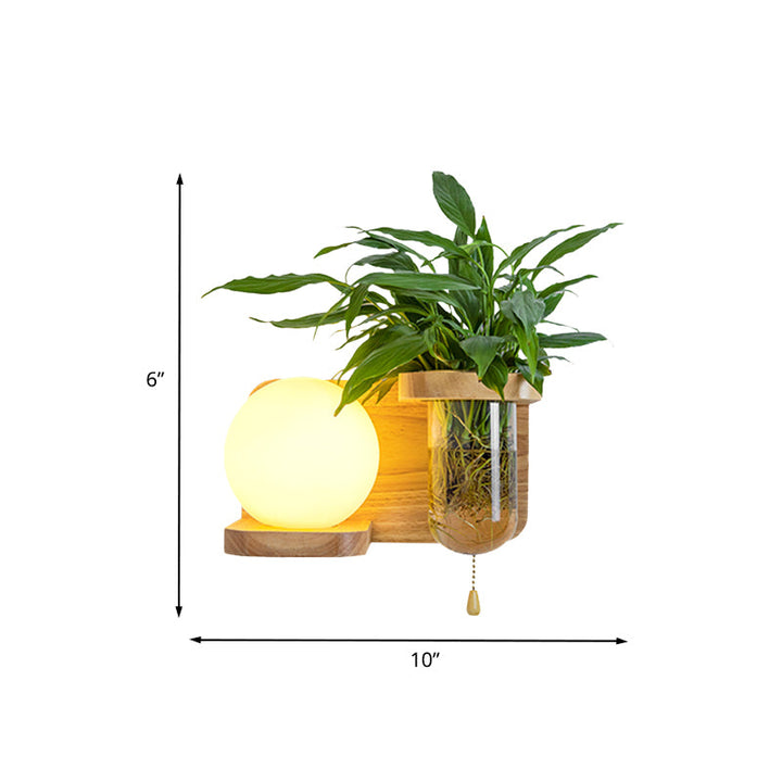 Lisslune | Wood Globe/Cylinder Wall Sconce Nordic Cream Glass 1 Light Bedroom Wall Lamp with Plant Pot and Pull Chain