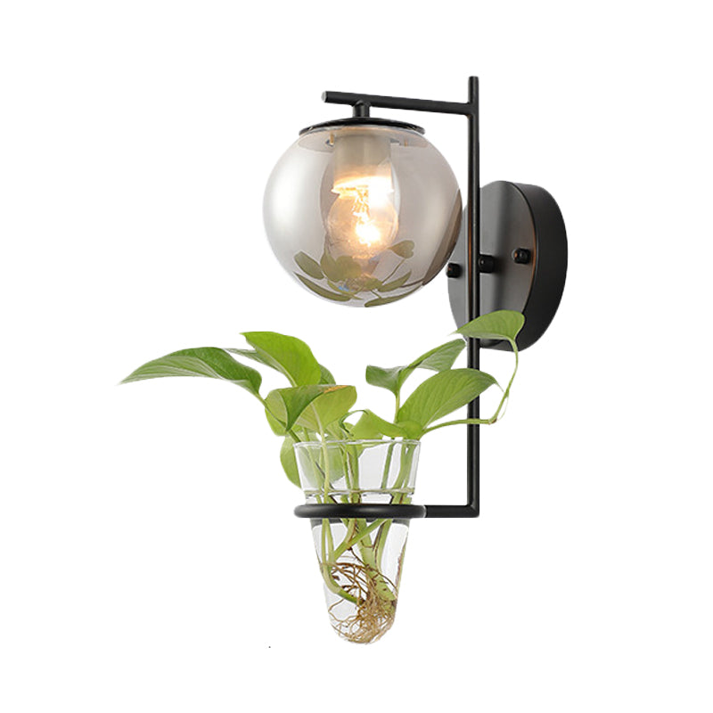 Lisslune | Gold/Black Globe Wall Light Antique Cream/Smoke Grey Glass 1-Head Bedroom Wall Lamp with Clear Glass Plant Cup