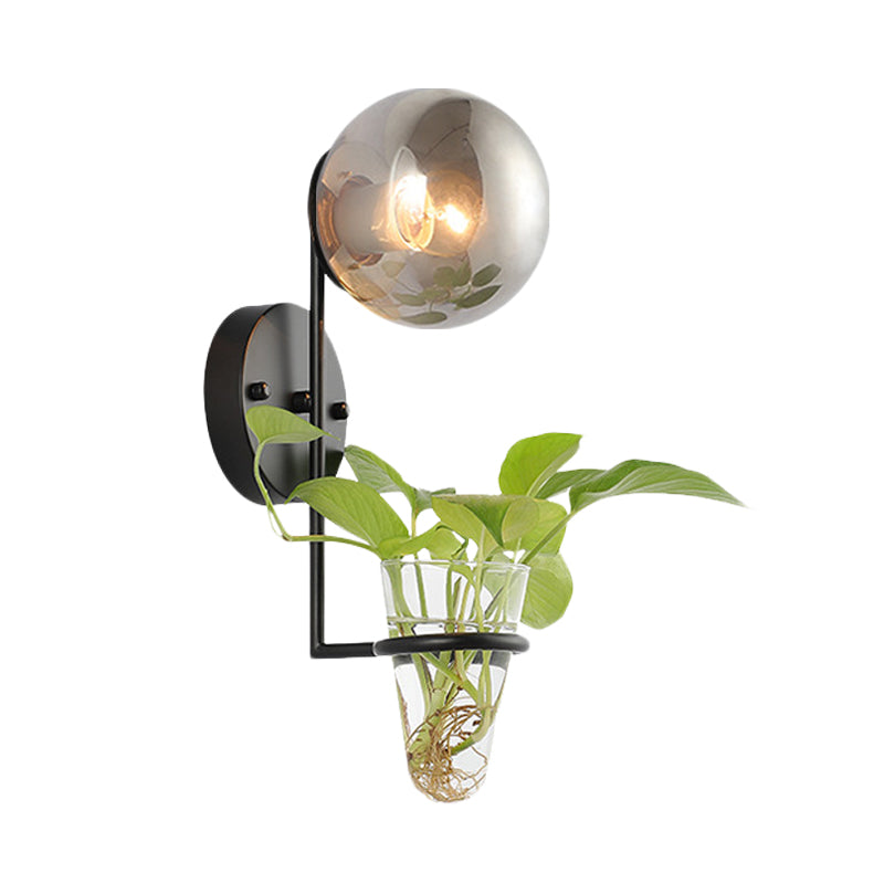 Lisslune | 1 Bulb Wall Lamp Industrial Global Cream/Smoke Grey Glass Wall Light in Black/Gold with Clear Glass Plant Cup