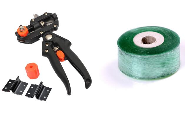 Lisslune | Refinement scissors for garden – Precise cutting tools for grafting and refining plants