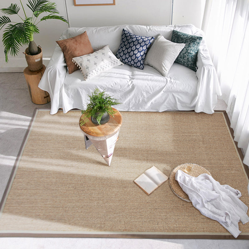 Lisslune | Simple Rustic Carpet Brown Solid Carpet Washable Pet Friendly Non-Slip Back Rug for the Living Room