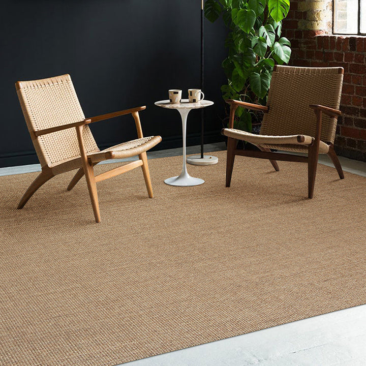 Lisslune | Brown Living Room Rug Rustic Solid Color Rug Sisal Washable Non-Slip Back Pet-Friendly Rug