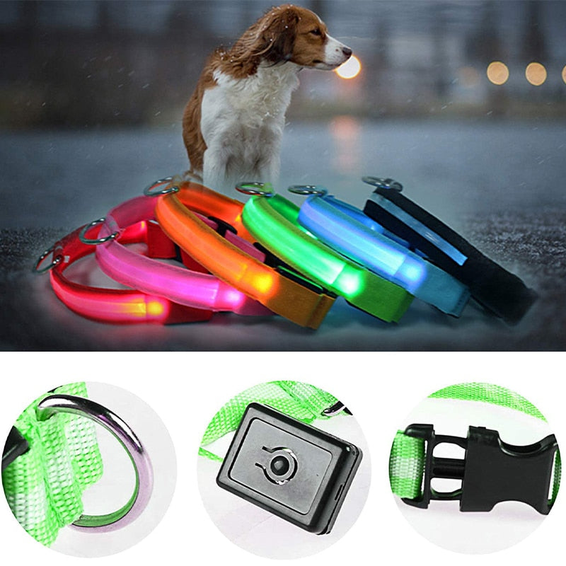 Lisslune | Adjustable LED collar