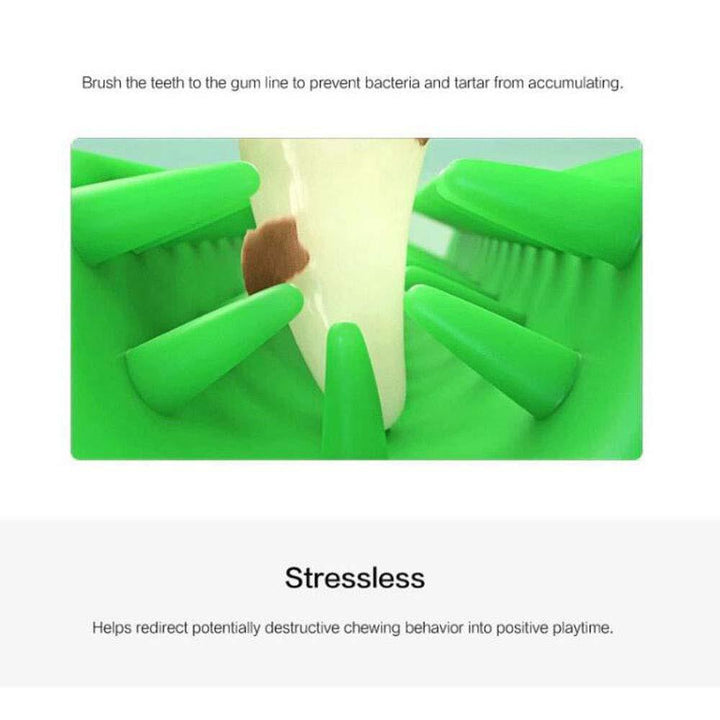 Lisslune | Pet Dog Toothbrush