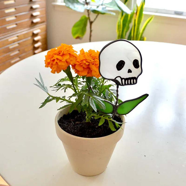 Lisslune | Early Halloween💀Skull Stained Glass Plant