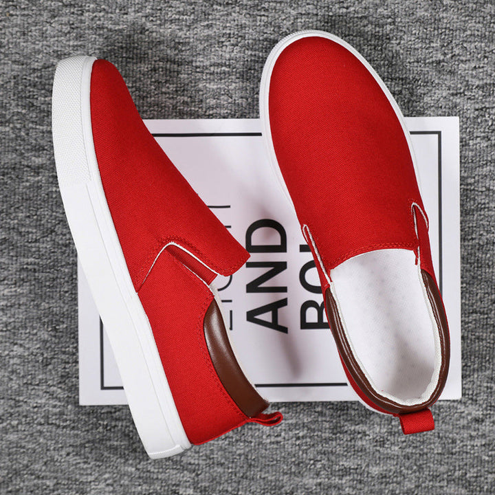 Lisslune | Slip-On Shoes made of canvas for men