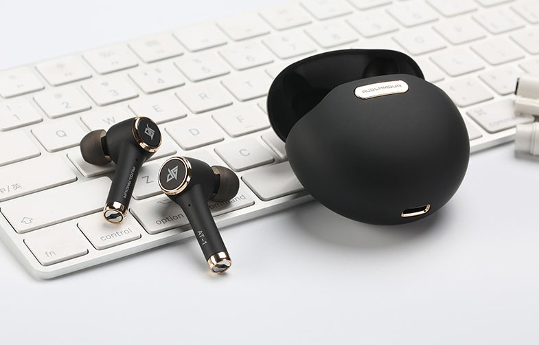 Lisslune | Bluetooth 5.0 True Wireless Stereo Earbuds with Built-in Mic, IPX5 Waterproof, Premium Sound, For Sports, Running & More
