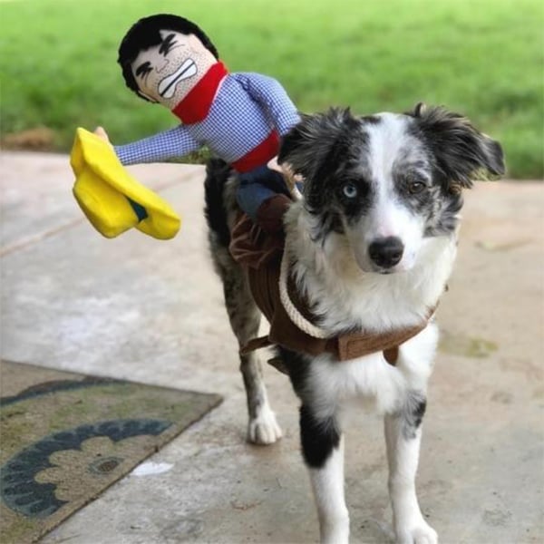 Lisslune | The Cowboy Rider Dog Costume