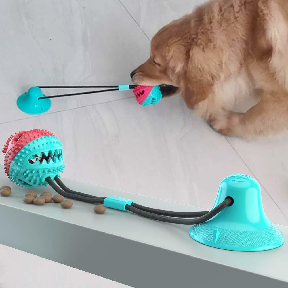 Lisslune | Dog-Molar-Chew Toy