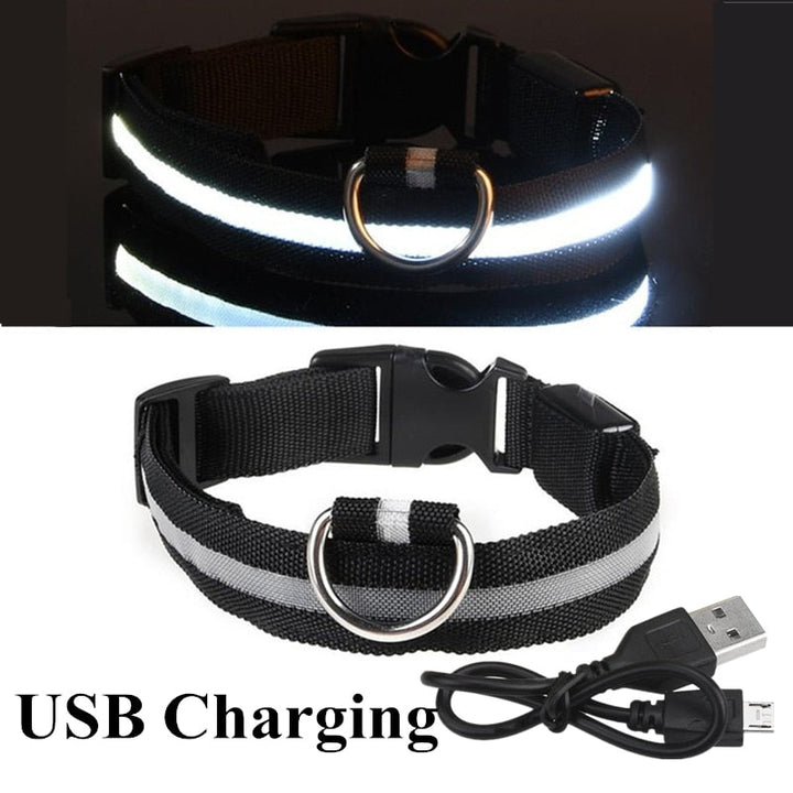 Lisslune | Adjustable LED collar