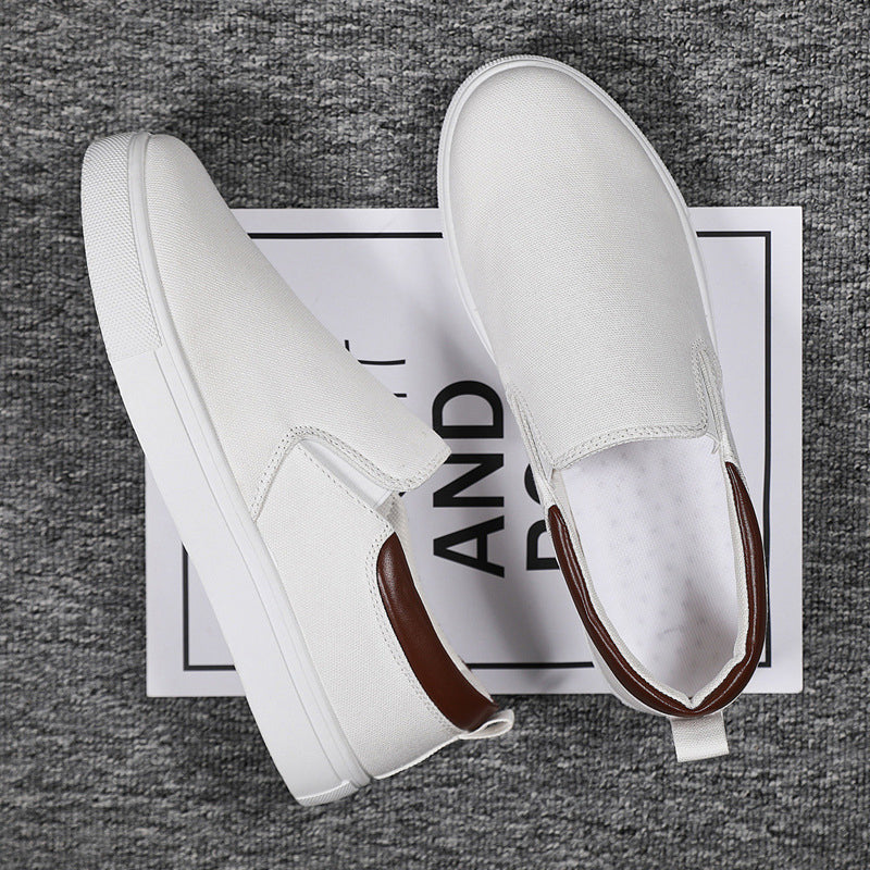 Lisslune | Slip-On Shoes made of canvas for men