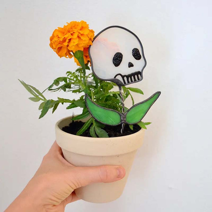 Lisslune | Early Halloween💀Skull Stained Glass Plant