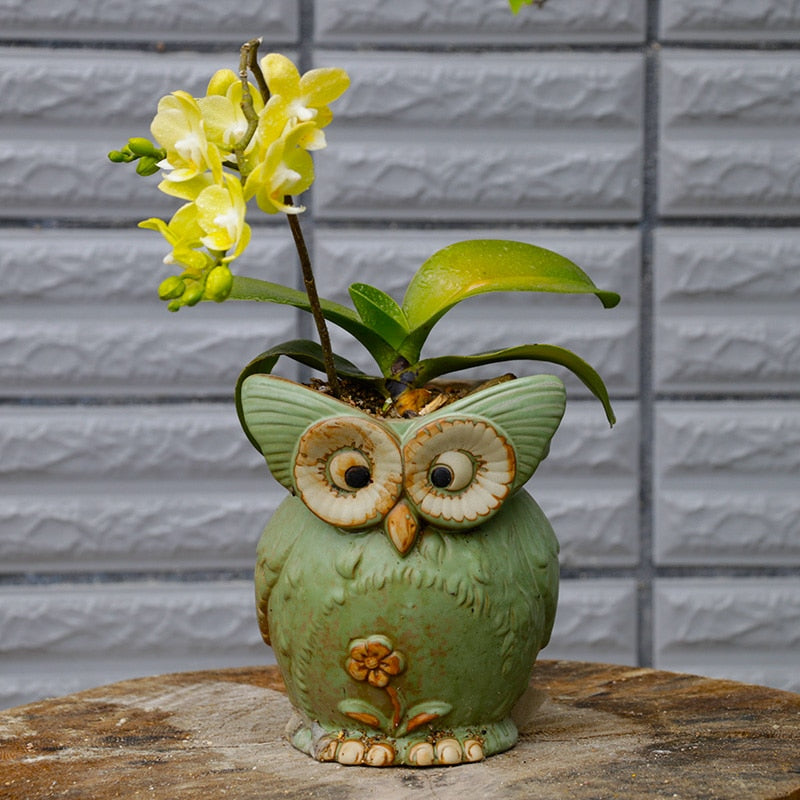 Lisslune | WhimsiOwl Ceramic Succulent Pot – Modern Decorative Flower Pot with Owl Design