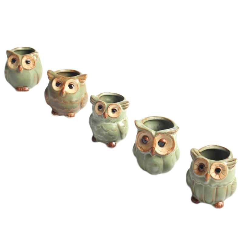 Lisslune | WhimsiOwl Ceramic Succulent Pot – Modern Decorative Flower Pot with Owl Design