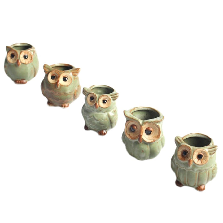 Lisslune | WhimsiOwl Ceramic Succulent Pot – Modern Decorative Flower Pot with Owl Design