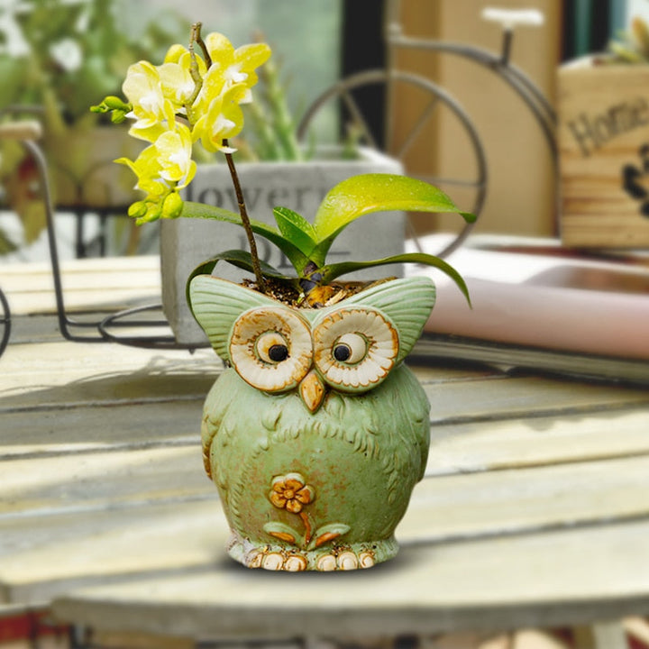 Lisslune | WhimsiOwl Ceramic Succulent Pot – Modern Decorative Flower Pot with Owl Design