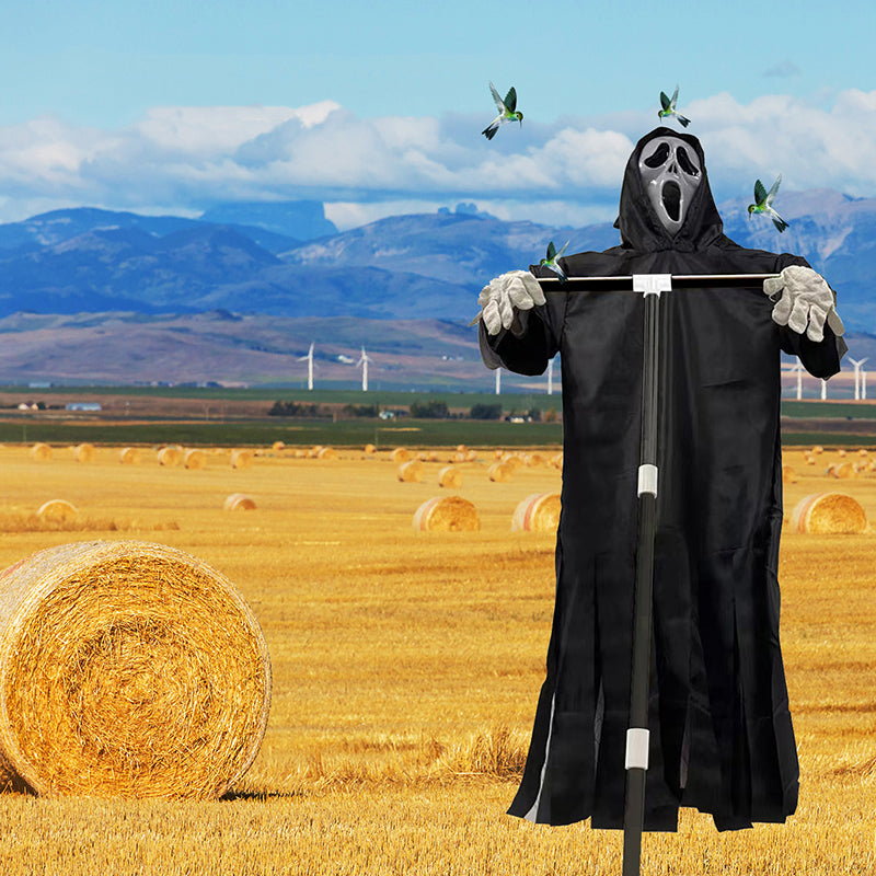 Lisslune | Scream Scarecrow