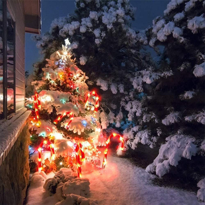 Lisslune | Solar Candy Cane Christmas Decorations