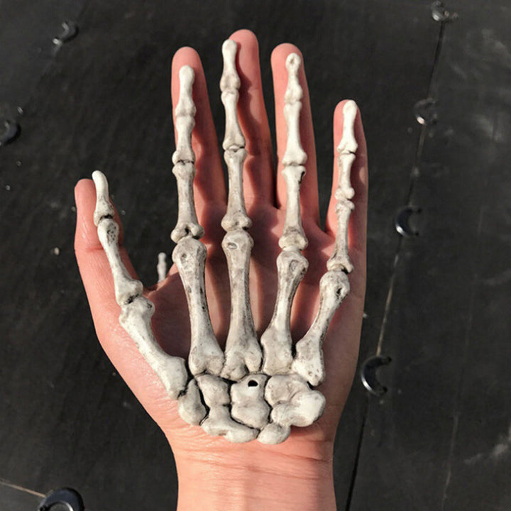 Lisslune | Skeleton Hands Scary Props