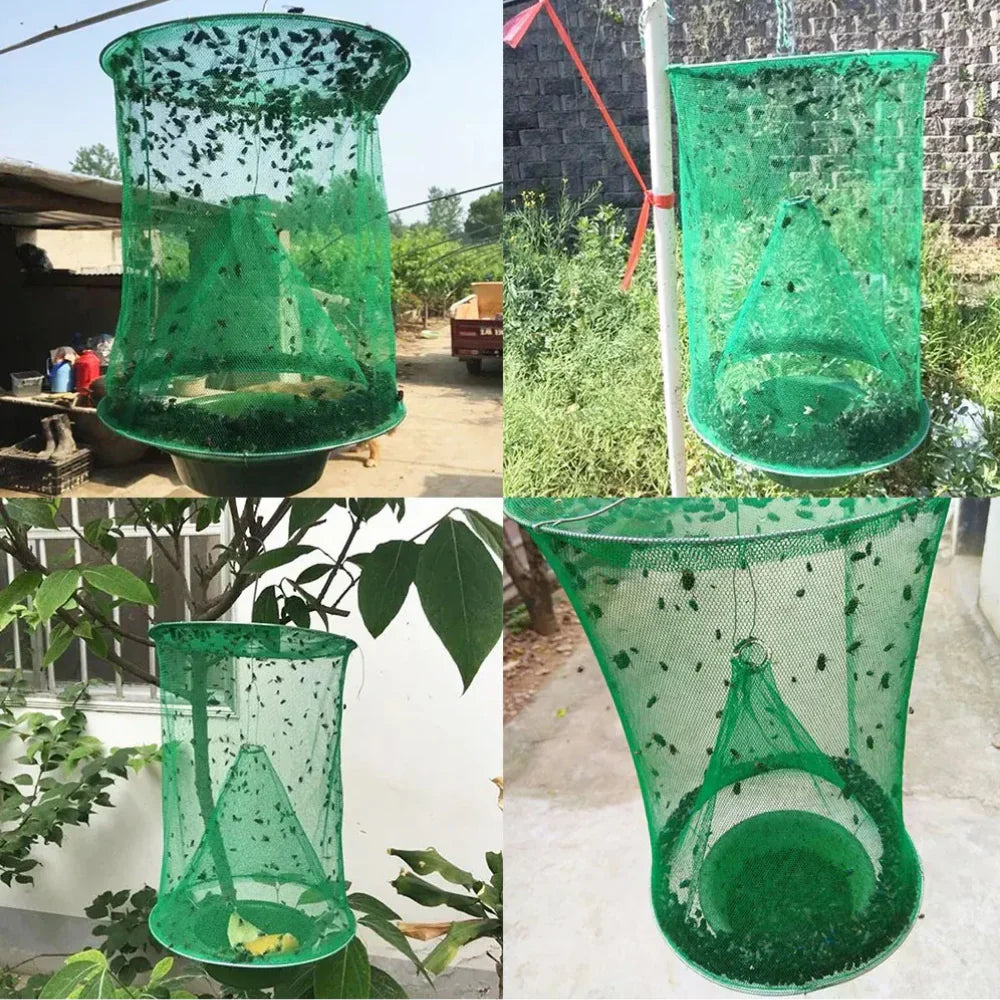 Lisslune | Reusable Fly Trap - Pack of 4