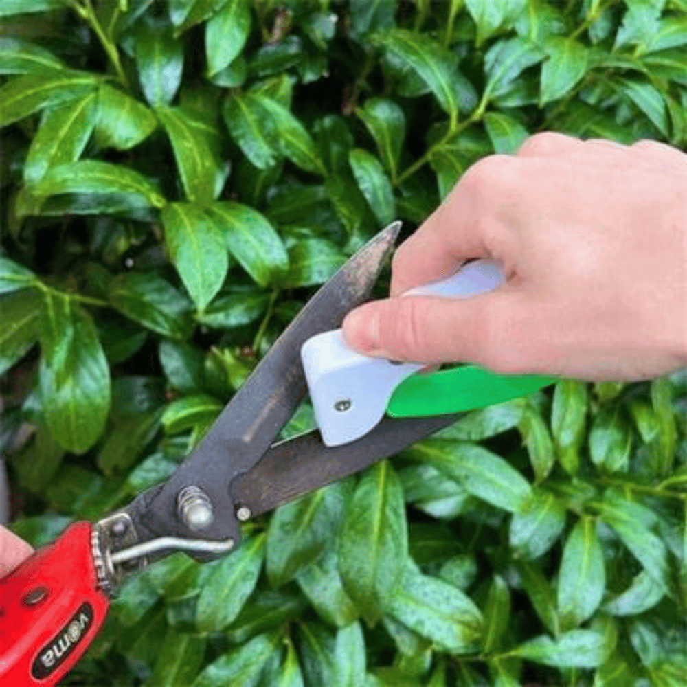 Lisslune | Tool Sharpener