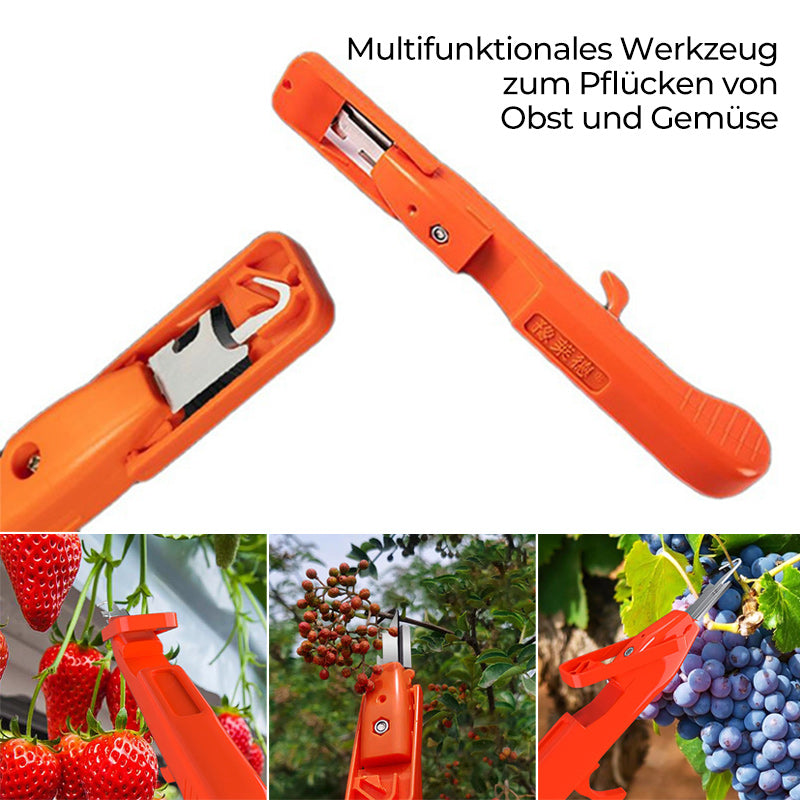 Lisslune | Efficient Pepper Collecting Tools