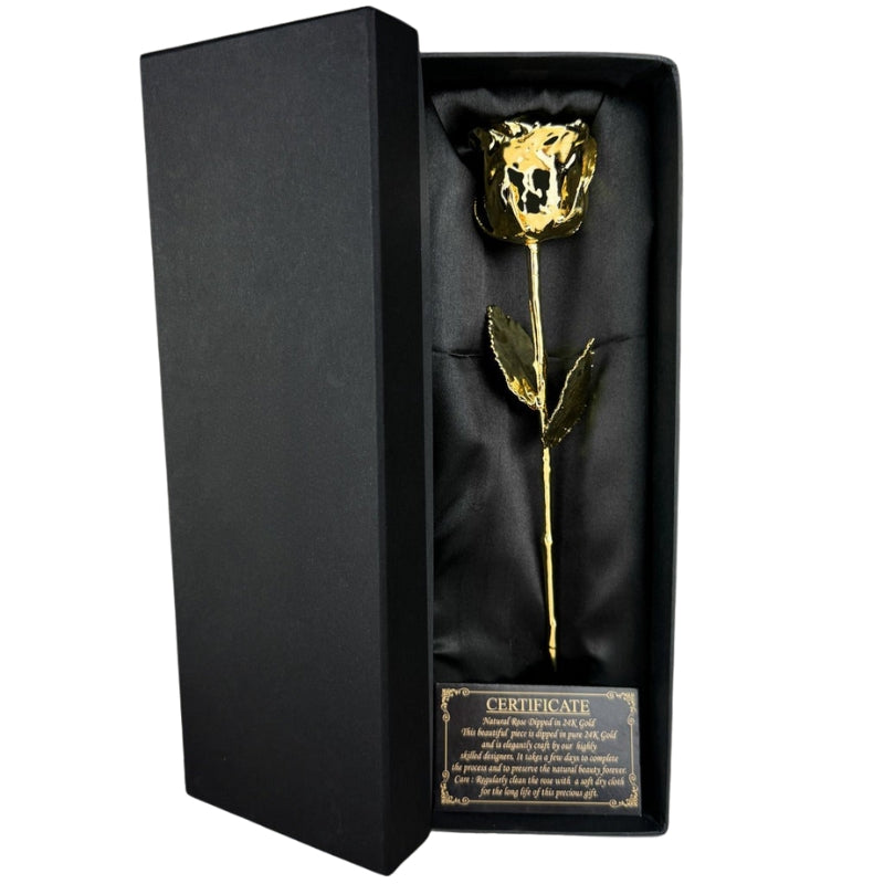 Lisslune | Timeless Golden Rose – Elegant Symbol of Love and Appreciation