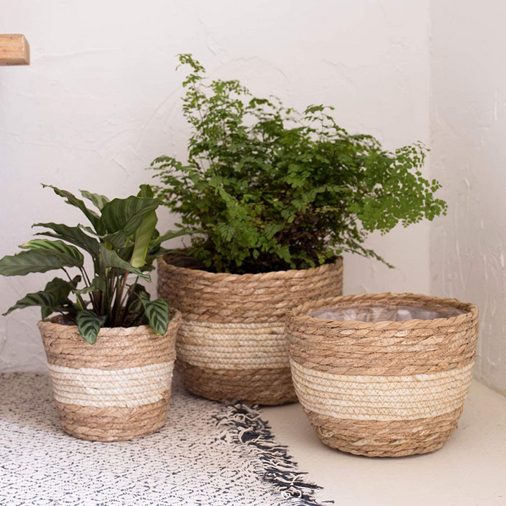 Lisslune | Decorative plant baskets made of seagrass in a set of 3 – Handwoven flower pots with foil insert